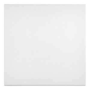 Primacoustic Beveled Acoustic Panel ECOScapes 2'x2' Panel 24"x24" 1" 6pk