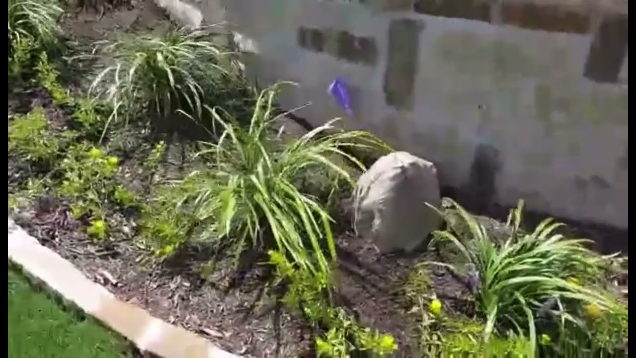 Outdoor Audio Installation – AVSTexas project video